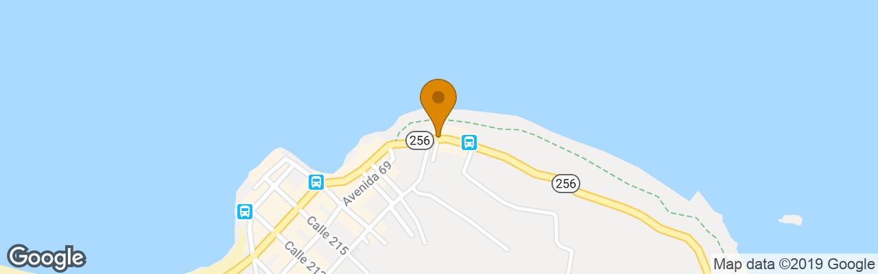 Hotel The Lotus Garden 