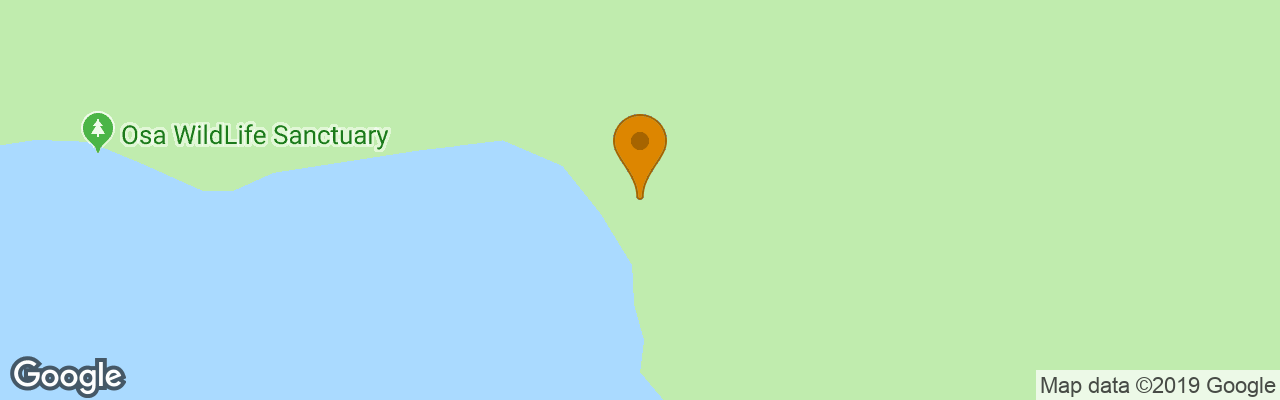 Hotel Playa Cativo Lodge 